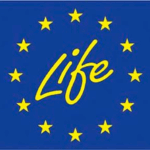 Projekt bez nazwy (20)